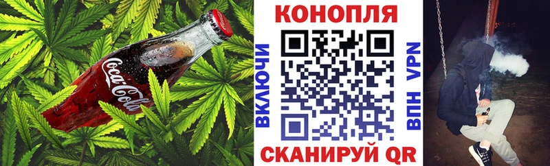 Canna-Cookies конопля Купить закладки Гатчина