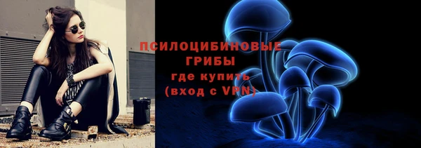 а пвп мука Алзамай
