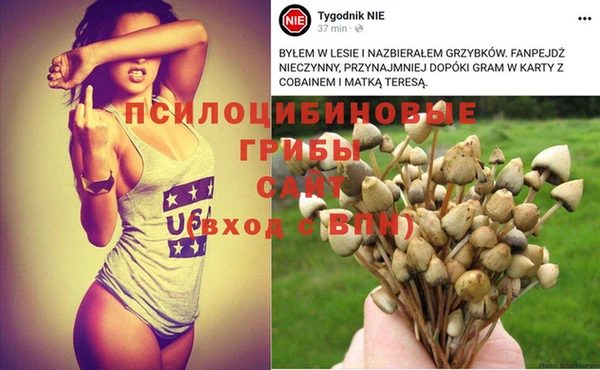 а пвп мука Алзамай