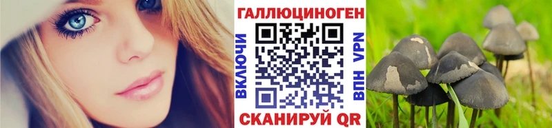 Купить закладки  Гатчина  Галлюциногенные грибы прущие грибы 