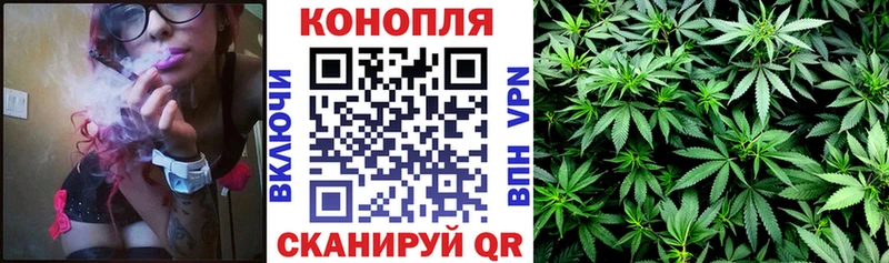 Бошки марихуана Bruce Banner  Купить закладки  Гатчина 